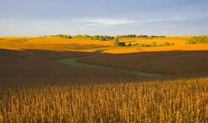 Nebraska-Farm-Land